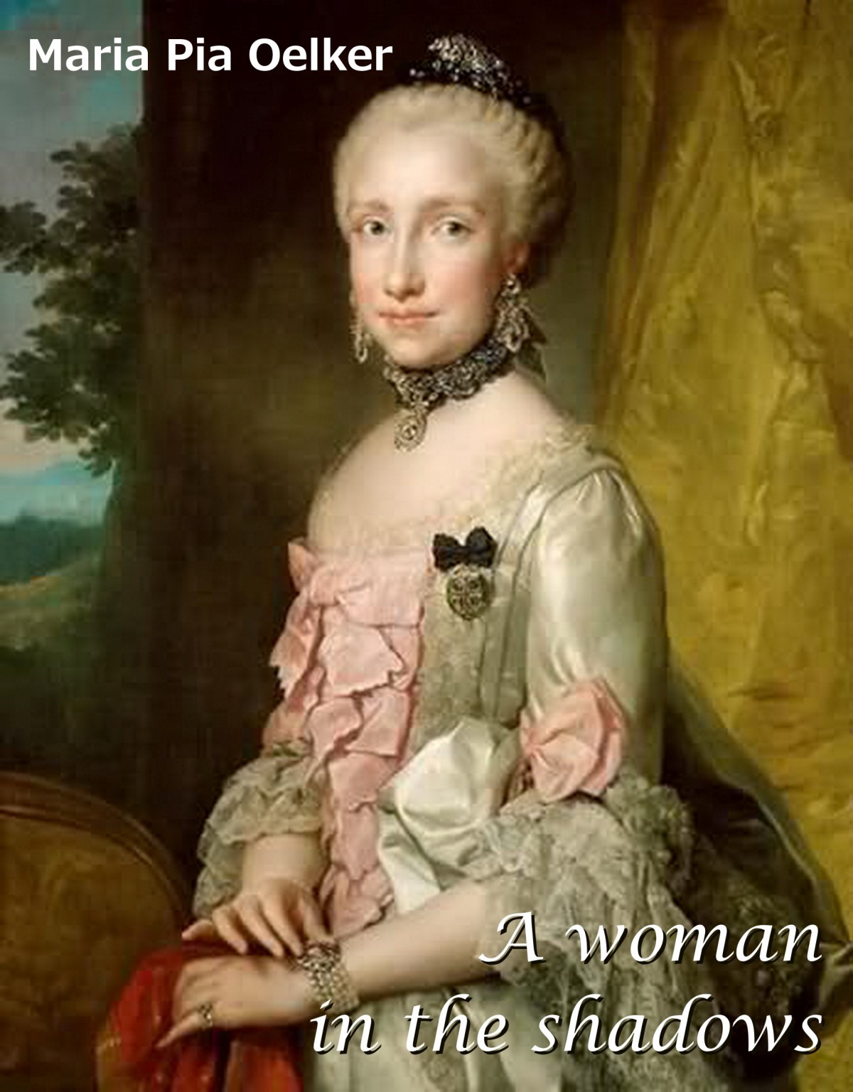 читать A Woman In The Shadows