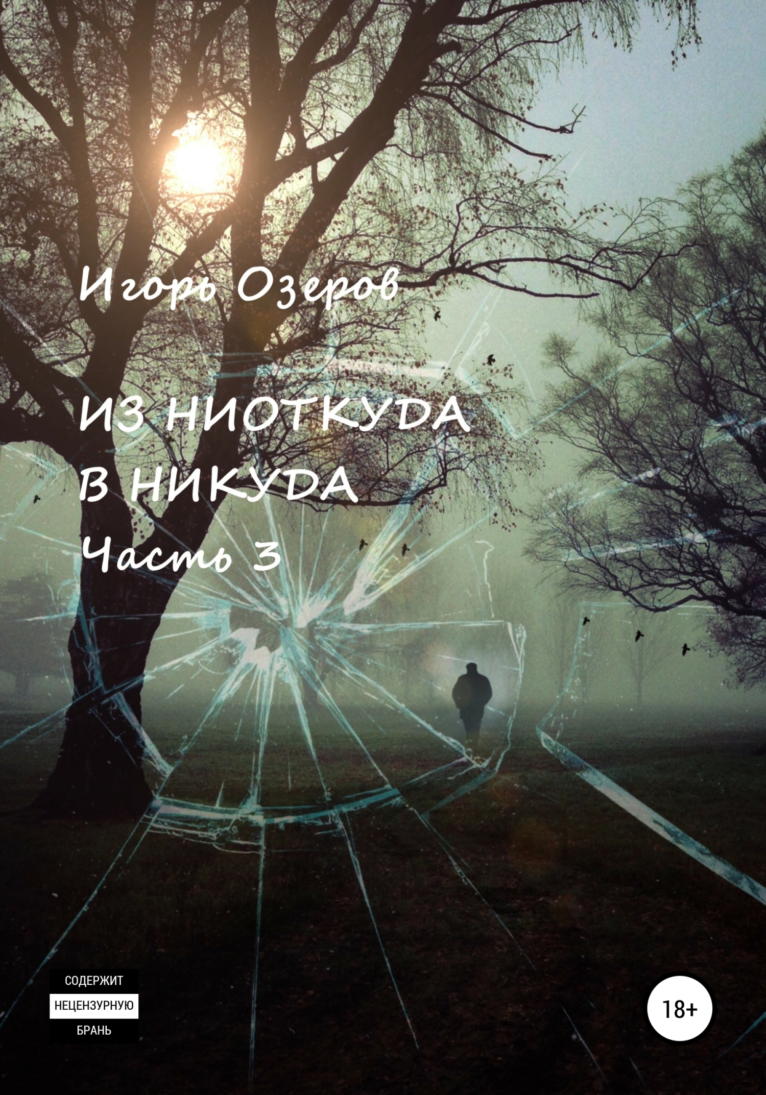 читать Из ниоткуда в никуда. Часть 3