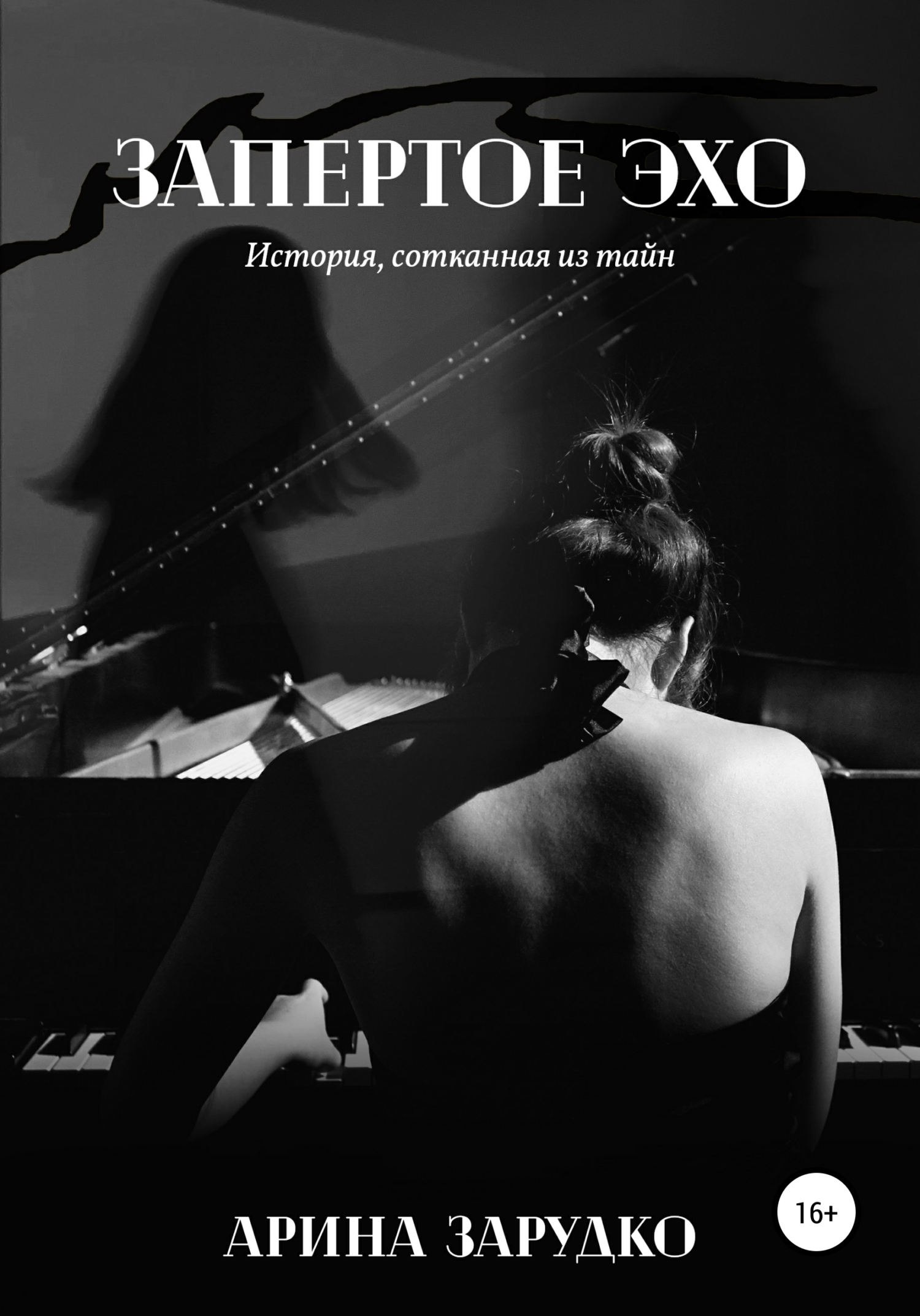 читать Запертое эхо