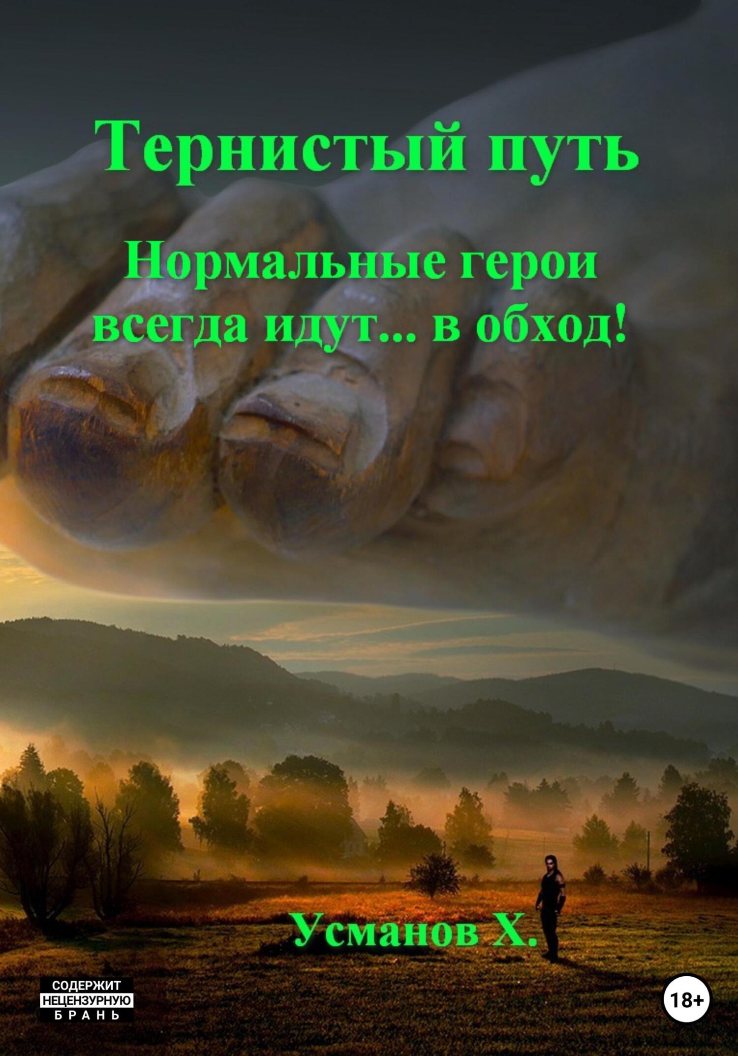 читать Тернистый путь. Нормальные герои всегда идут… в обход!