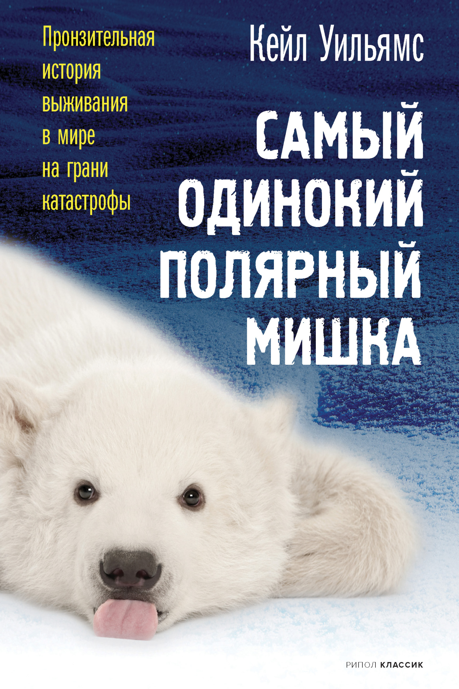 читать Самый одинокий полярный мишка