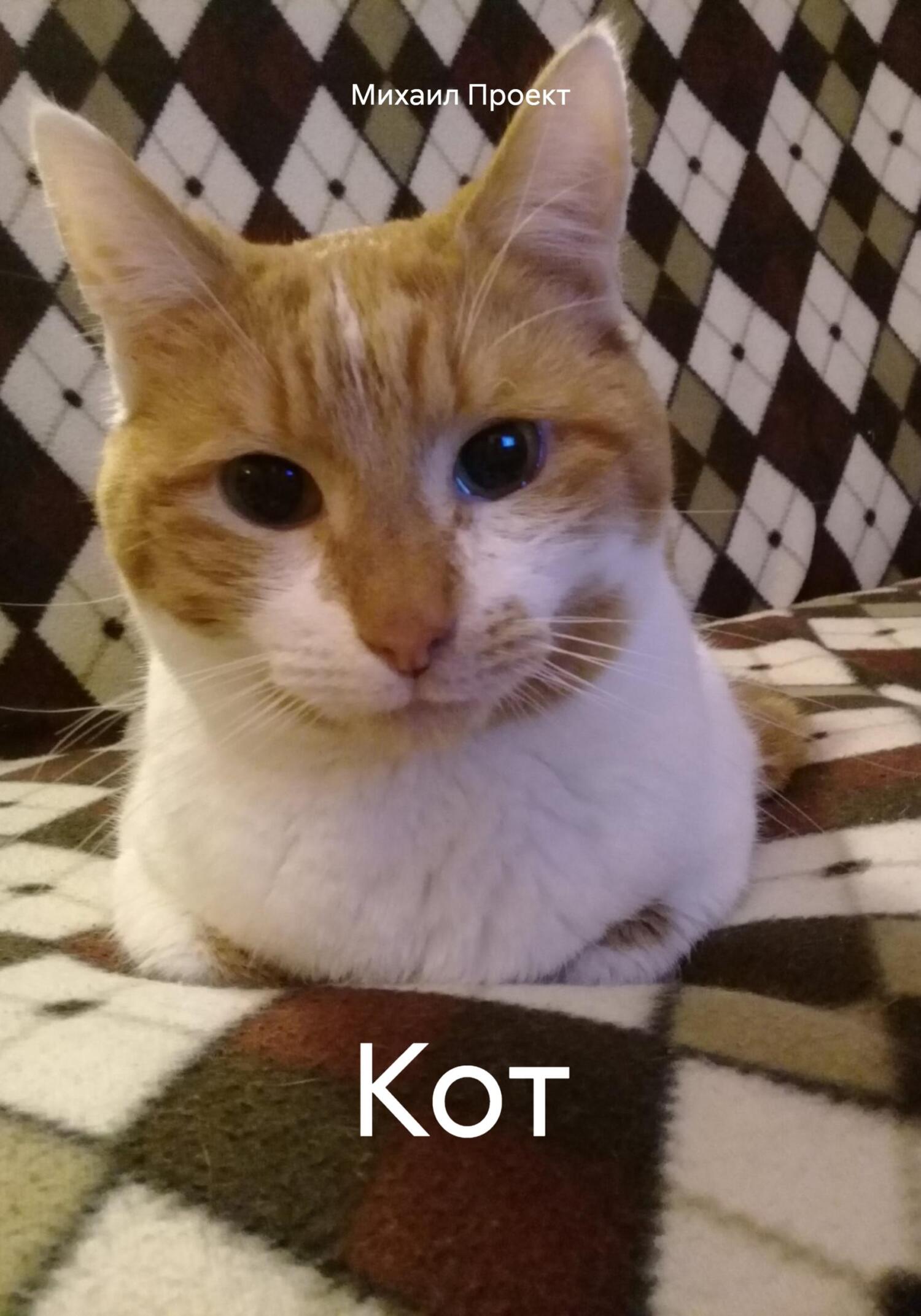 читать Кот