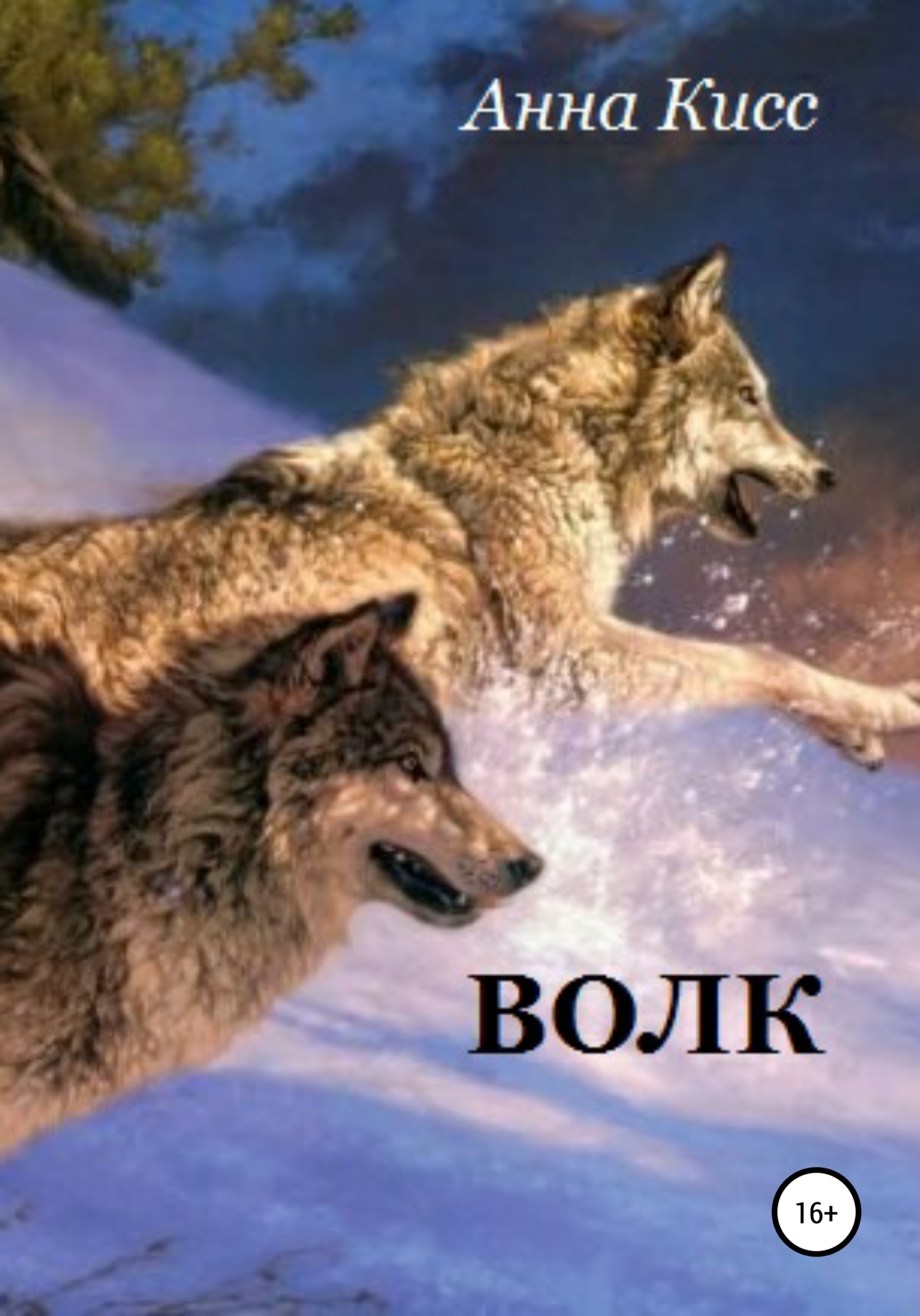 читать Волк