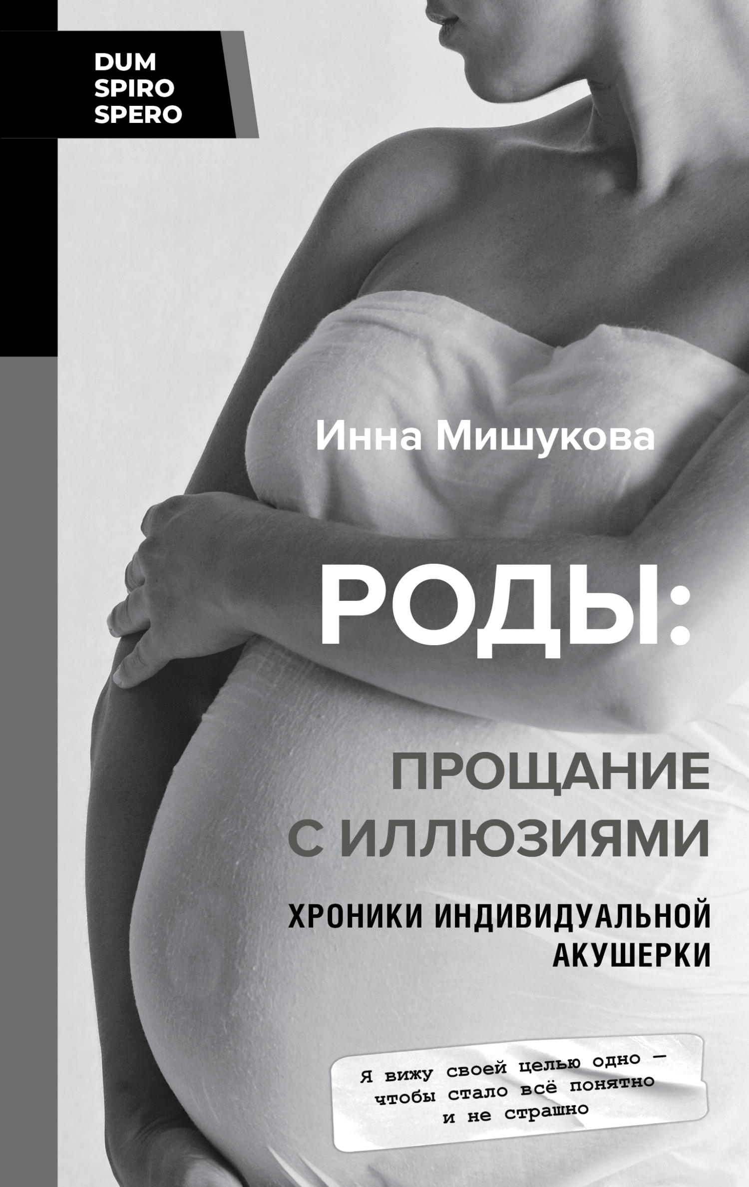 читать Роды. Прощание с иллюзиями. Хроники индивидуальной акушерки