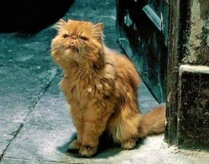 читать Профессор и Чудовище