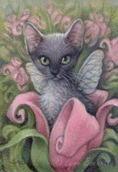 читать Клотильда - дочь пирата