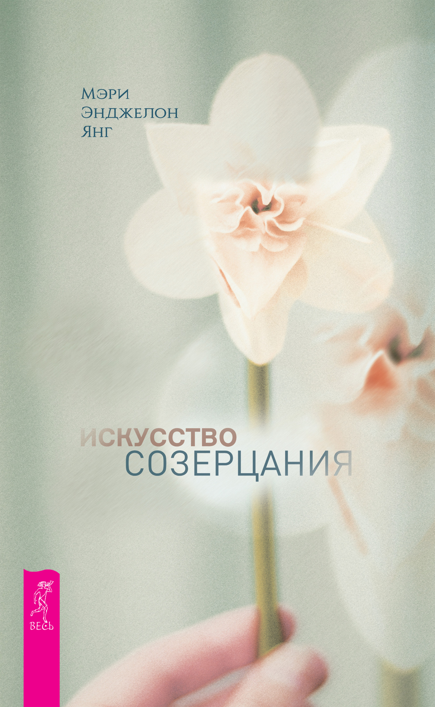 читать Искусство созерцания
