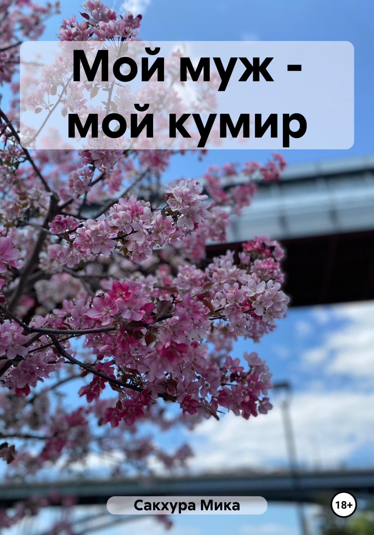 читать Мой муж – мой кумир