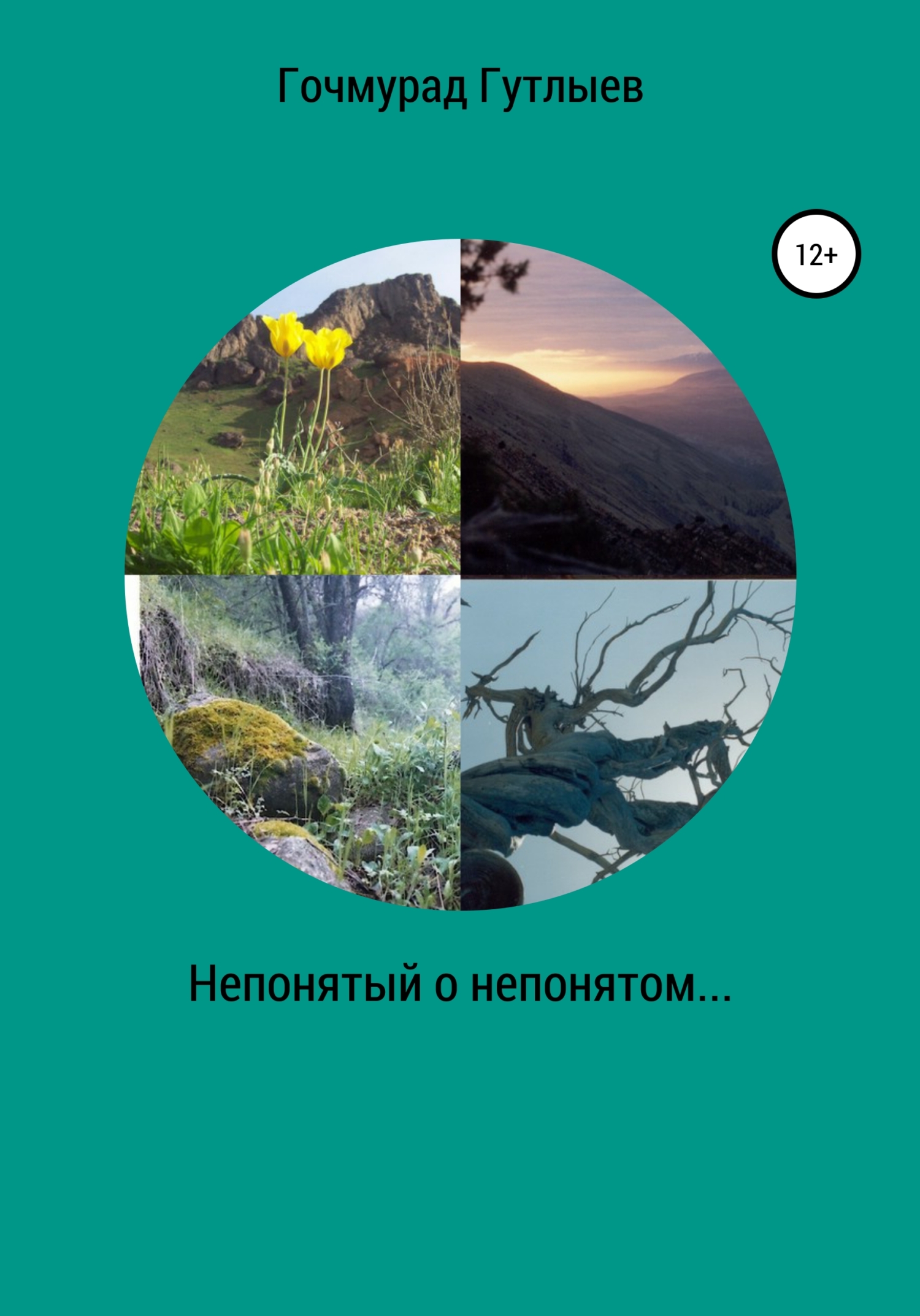 читать Непонятый о непонятом
