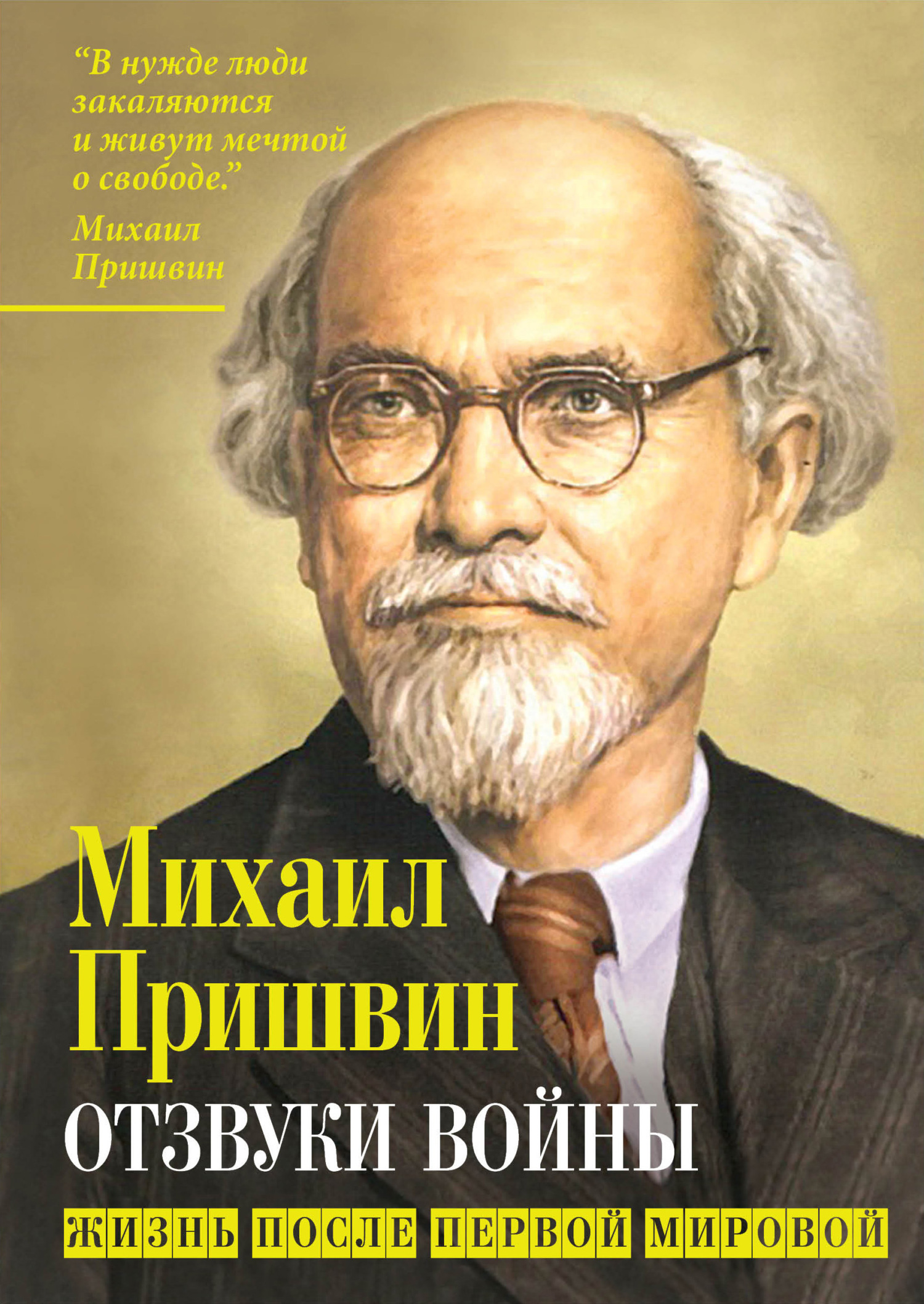 читать Отзвуки войны. Жизнь после Первой мировой