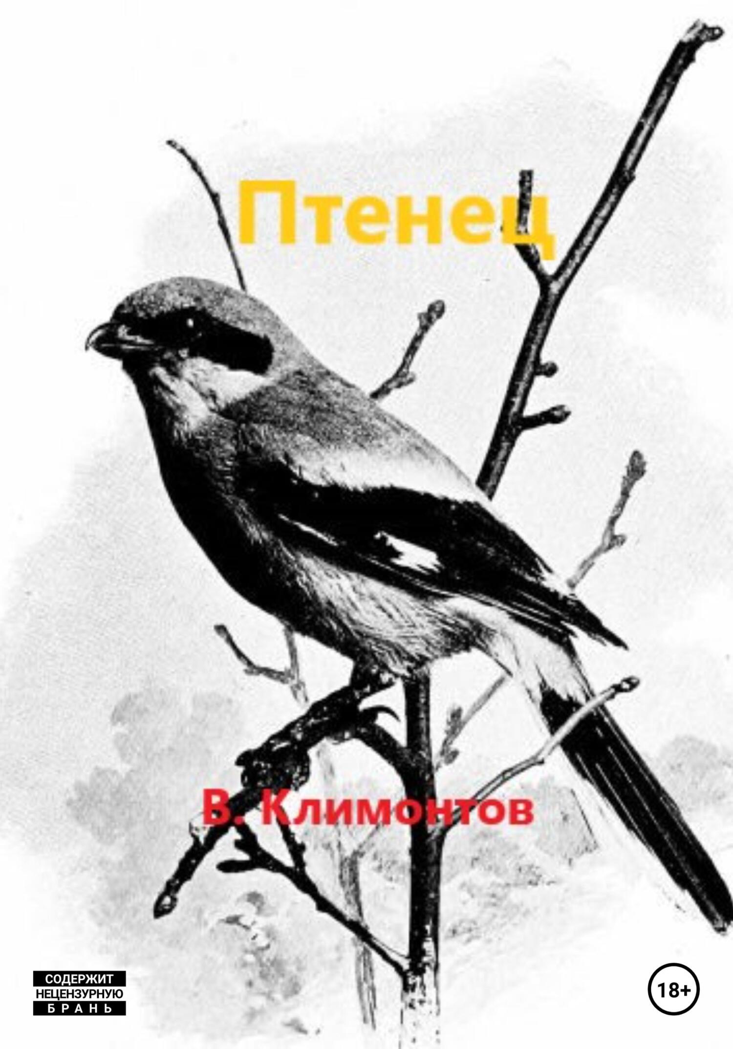 читать Птенец