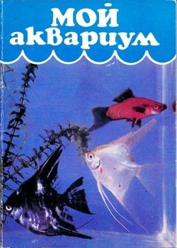 читать Мой аквариум