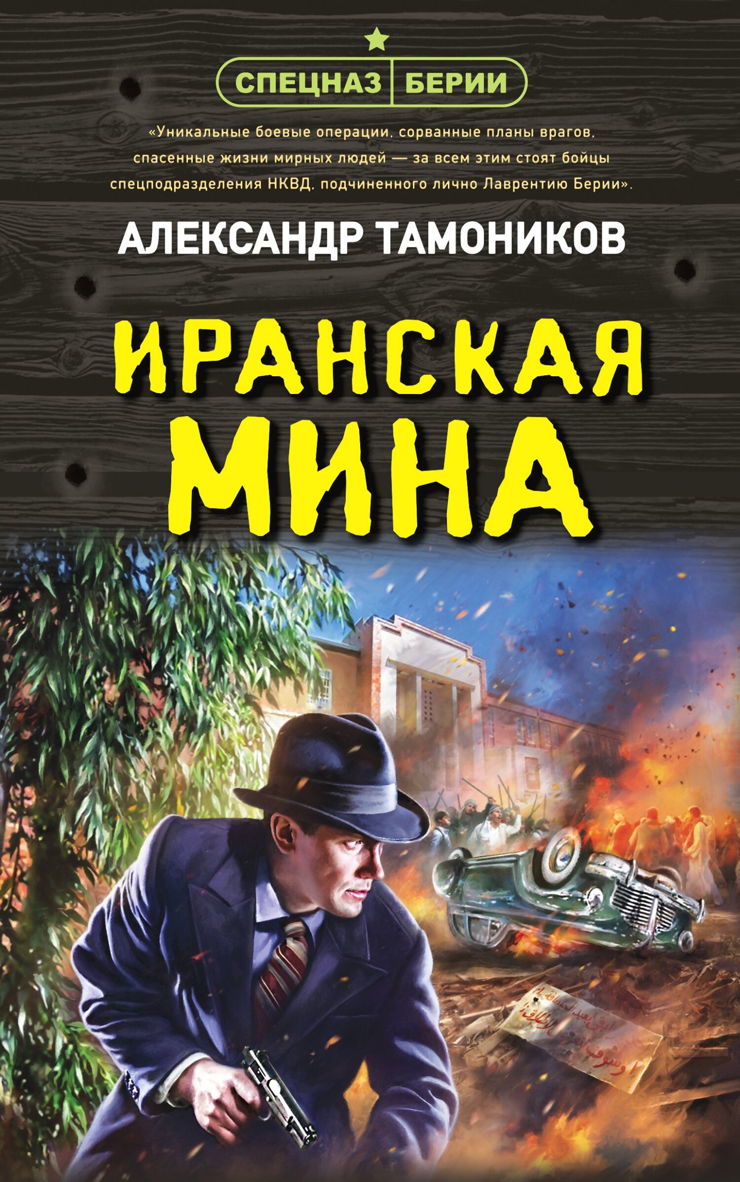 читать Иранская мина