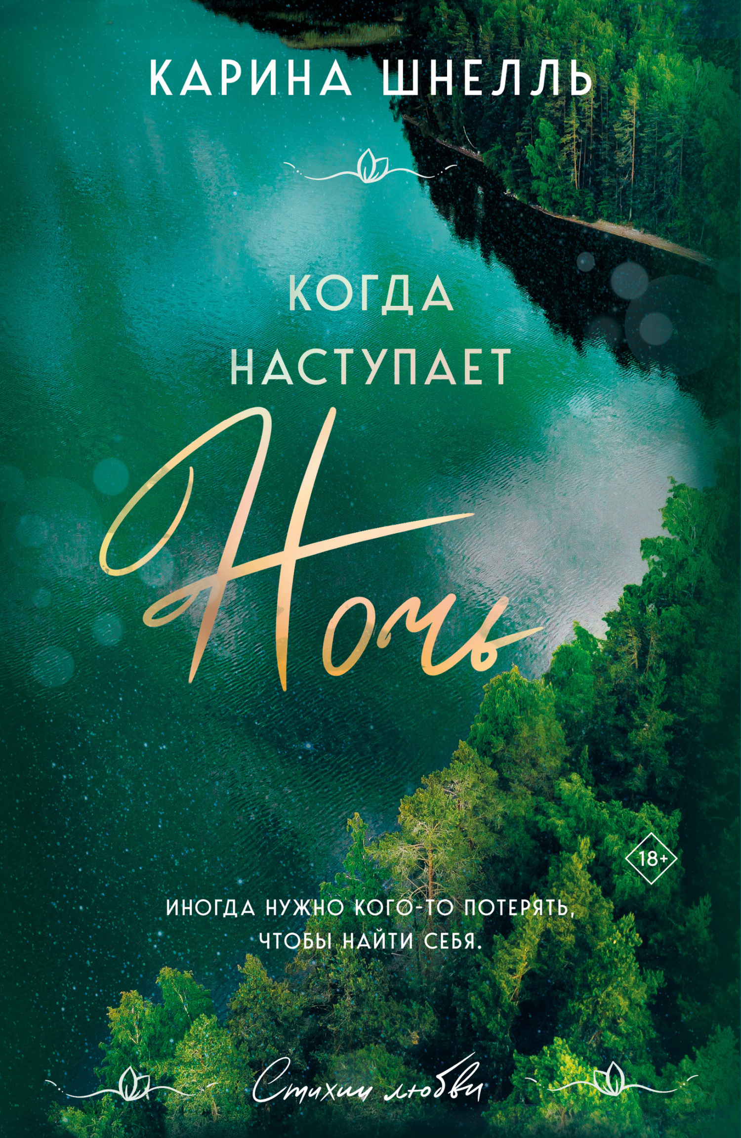читать Когда наступает ночь
