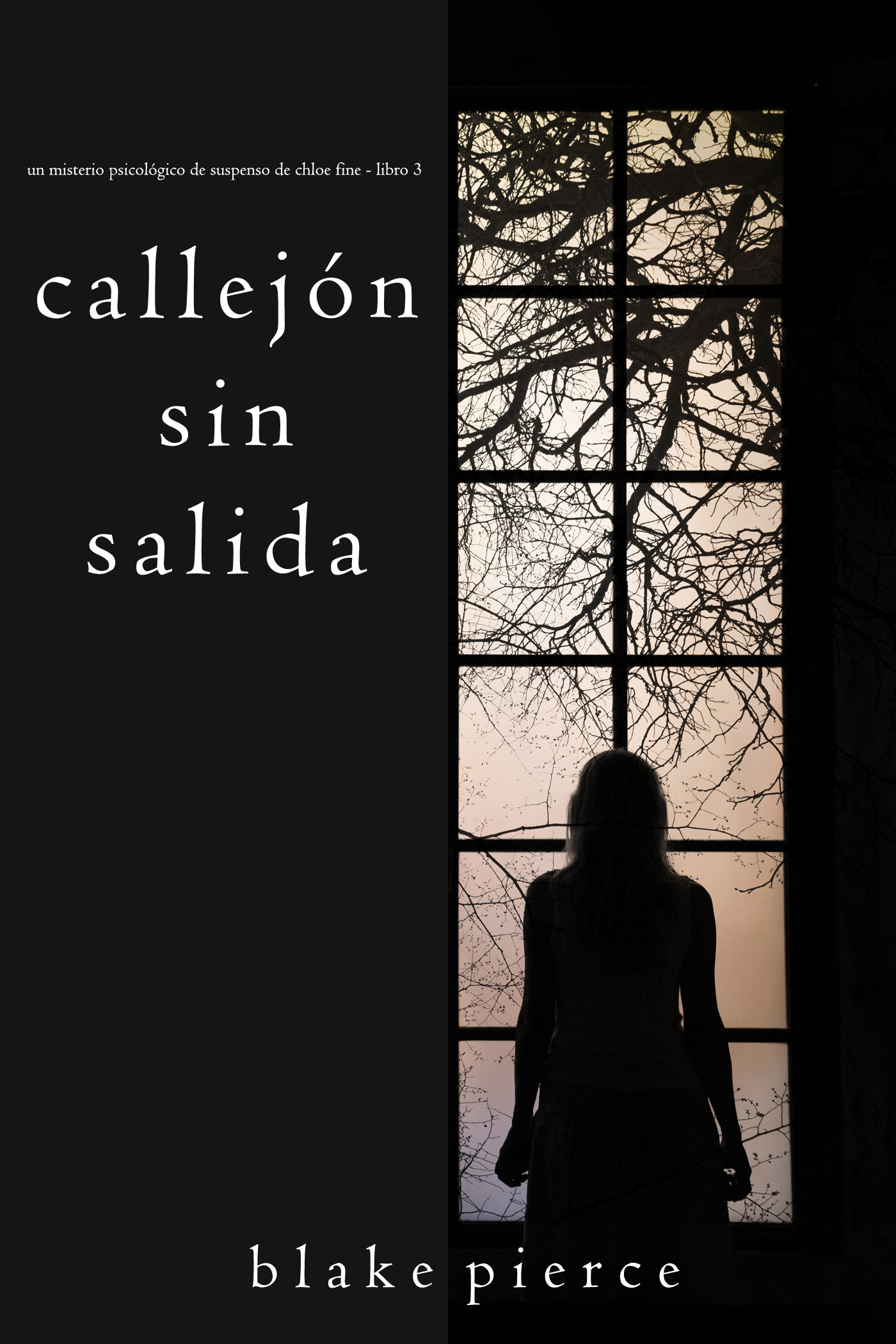 читать Callejón Sin Salida
