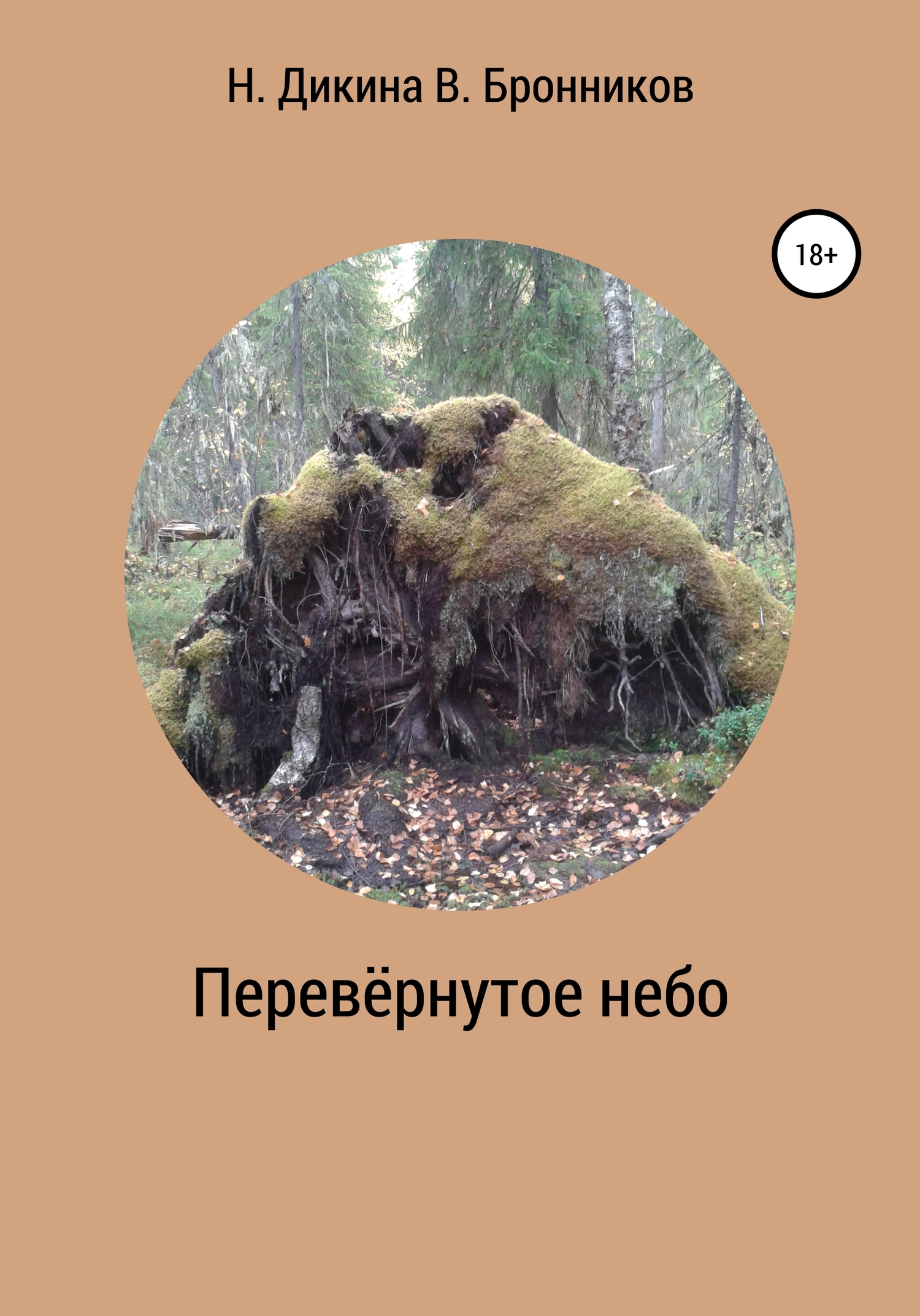 читать Перевернутое небо
