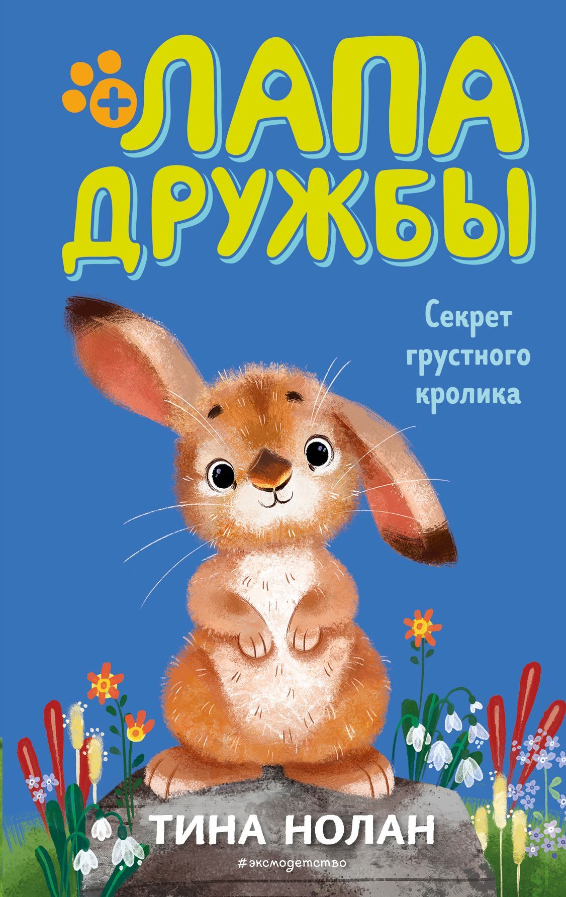 читать Секрет грустного кролика