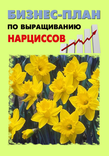 читать Бизнес-план по выращиванию нарциссов