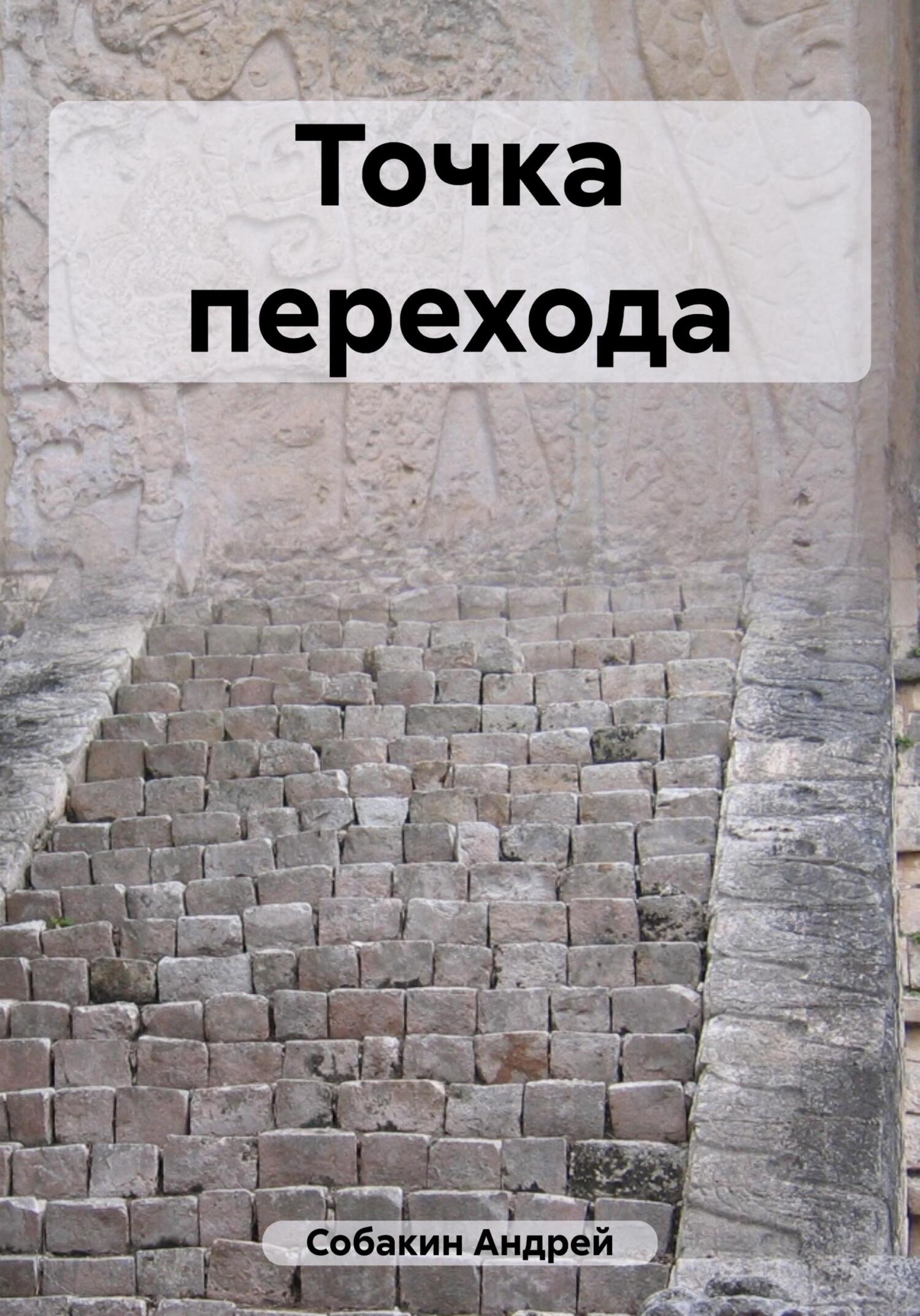 читать Точка перехода