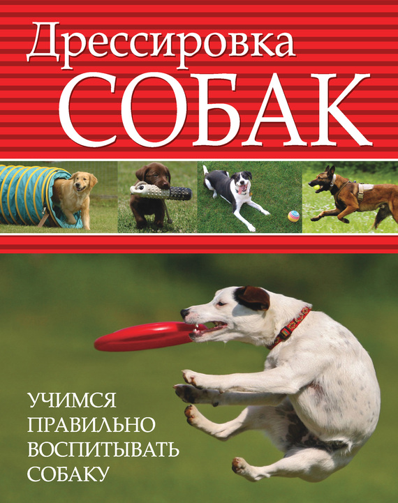 читать Дрессировка собак. Учимся правильно воспитывать собаку