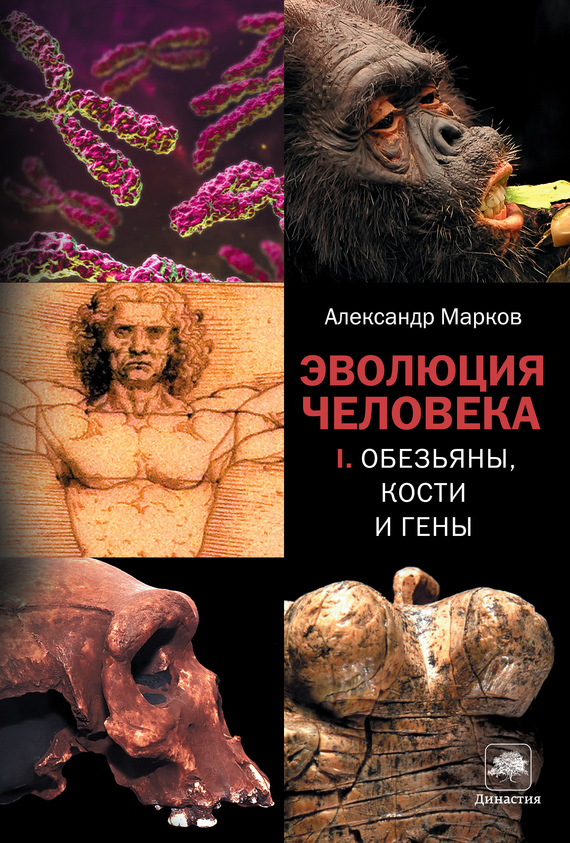 читать Обезьяны, кости и гены