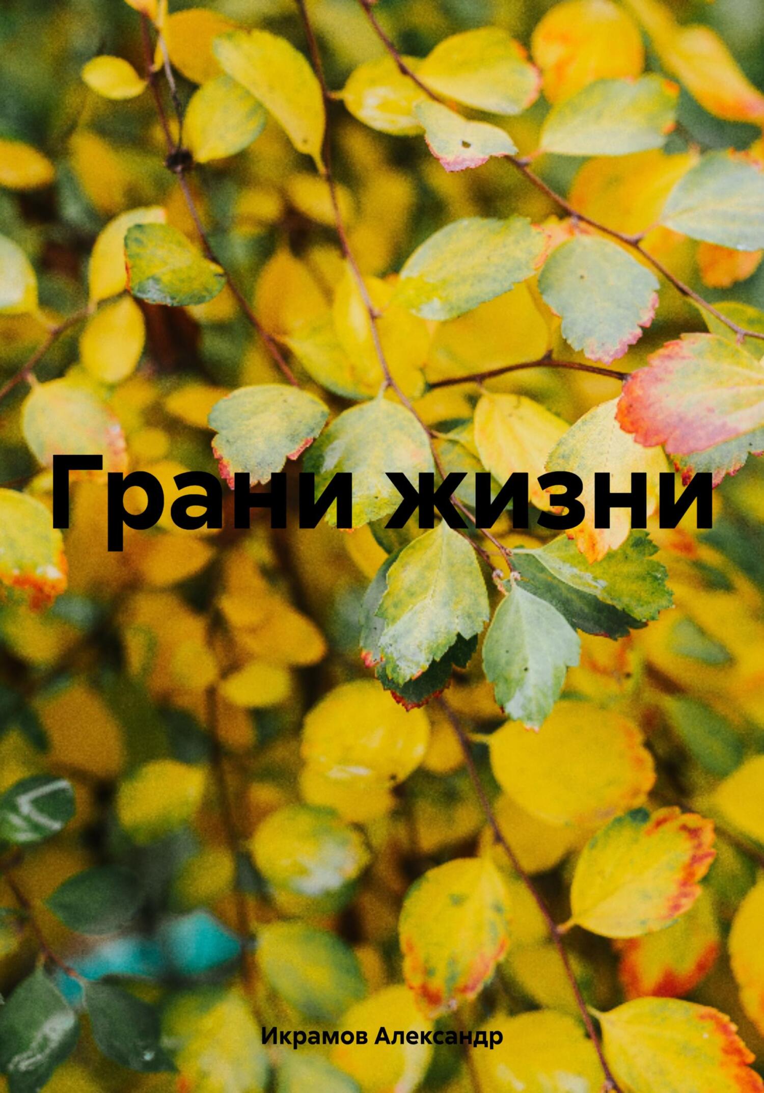 читать Грани жизни