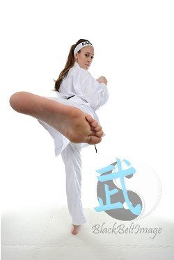 читать Марин Ле Пен и юный альфонс