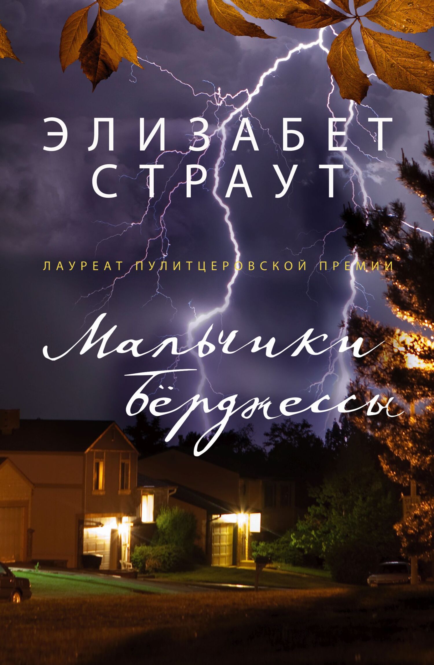 читать Мальчики Берджессы