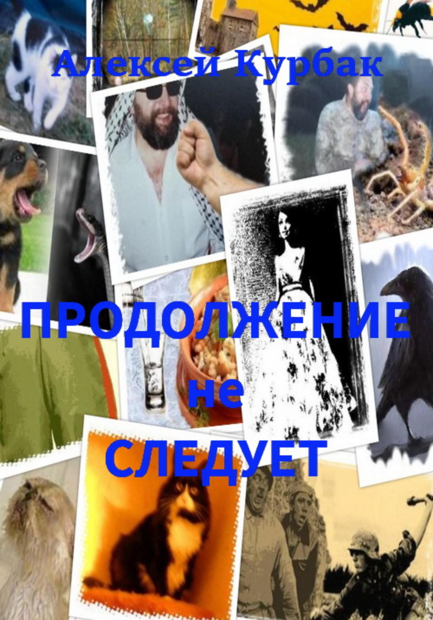 читать Продолжение не следует