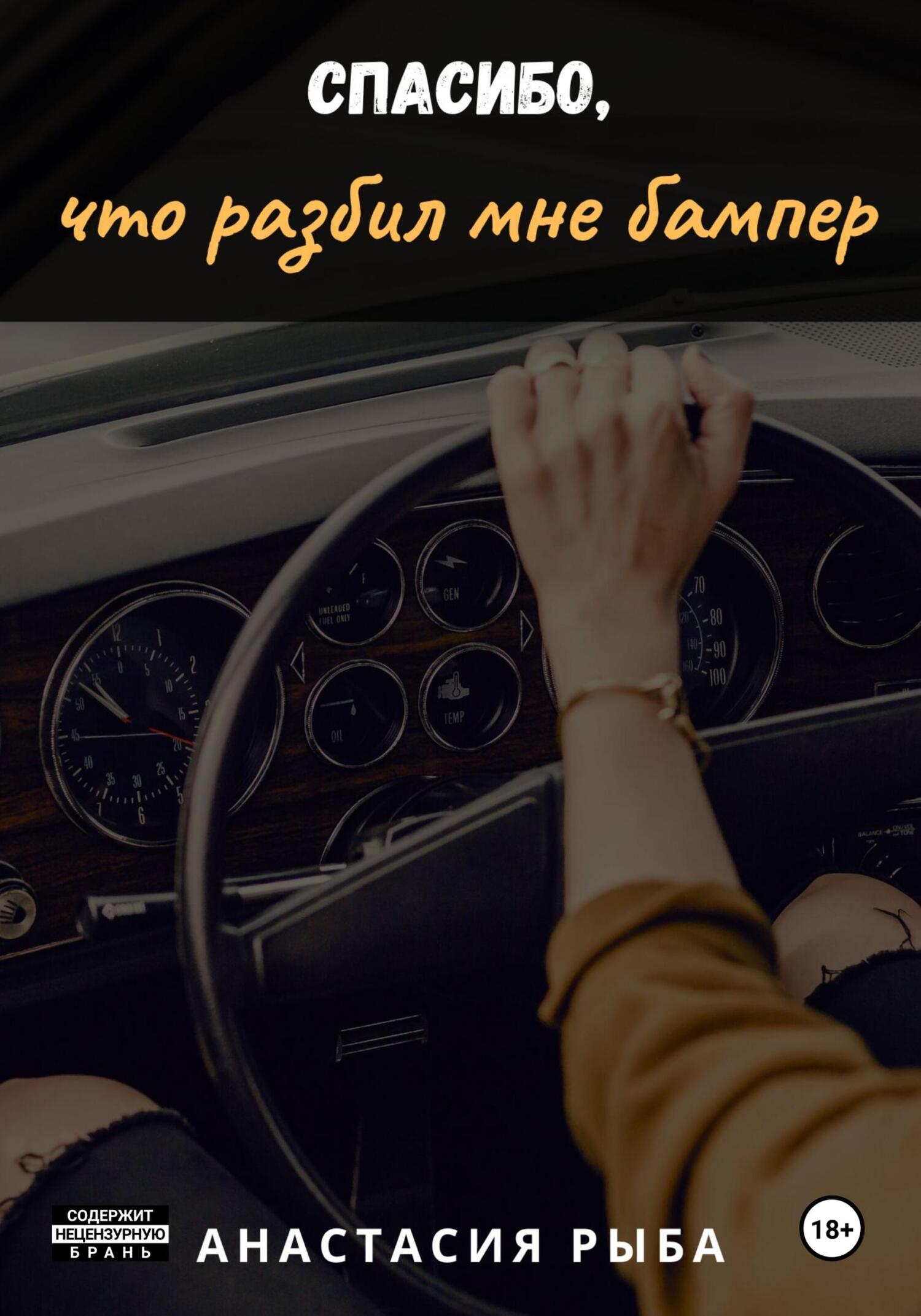 читать Спасибо, что разбил мне бампер