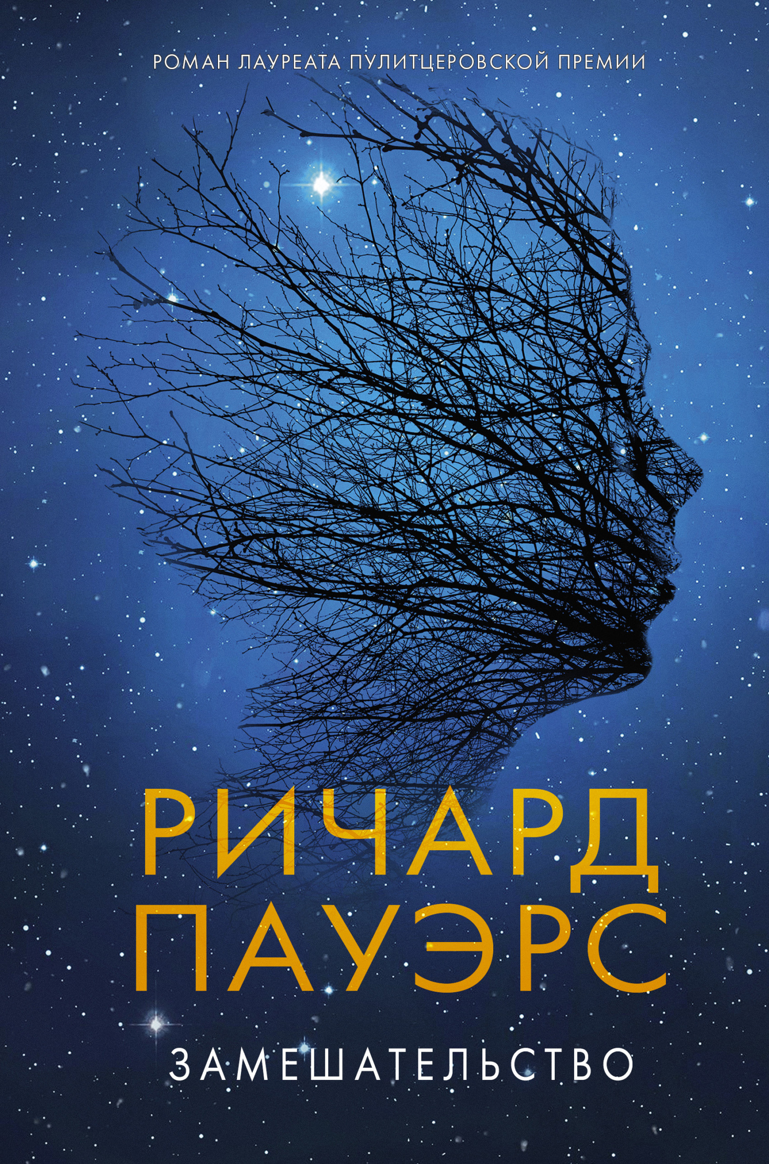 читать Замешательство