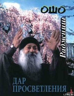 читать Дар просветления