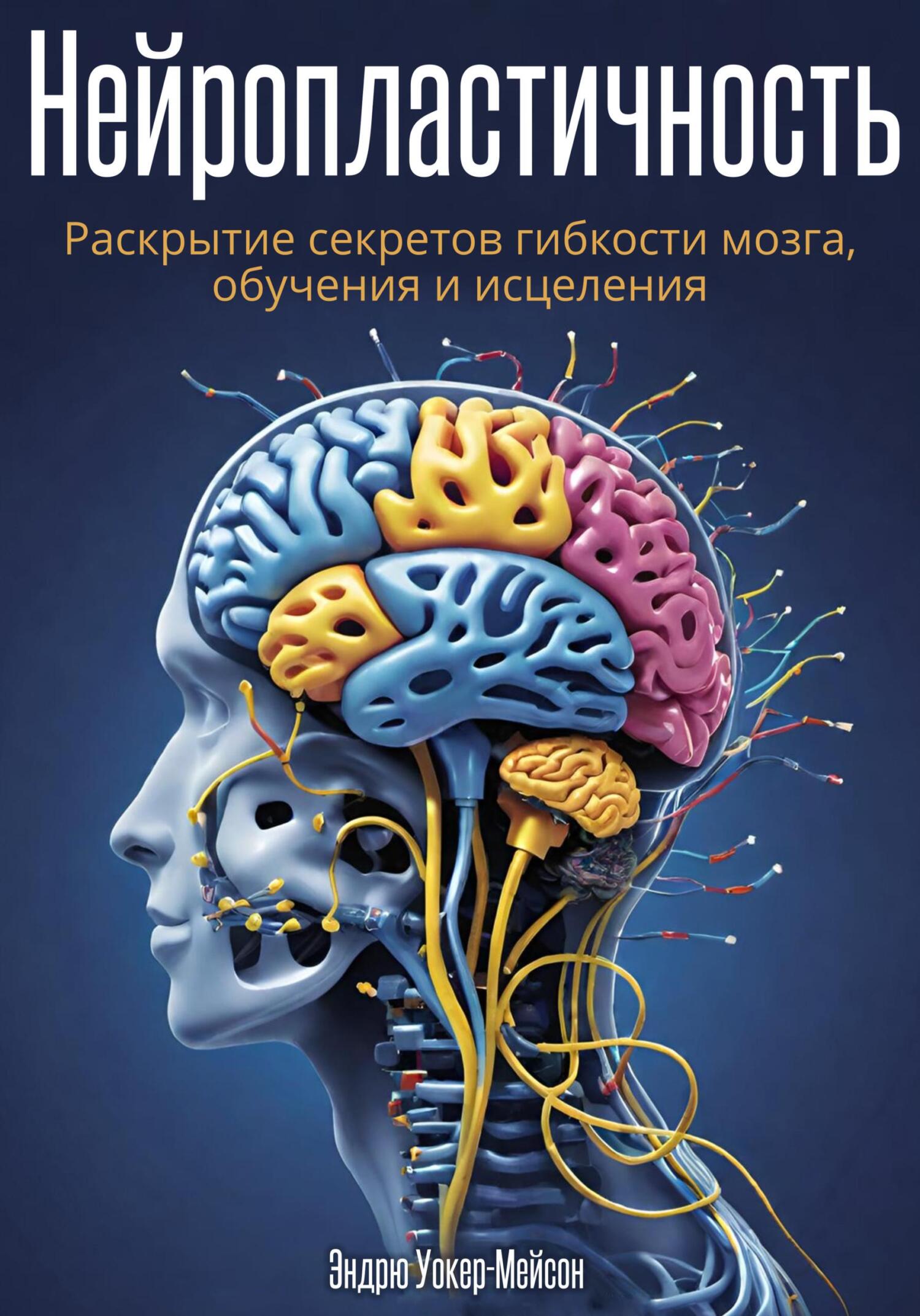 читать Нейропластичность: Раскрытие секретов гибкости мозга, обучения и исцеления