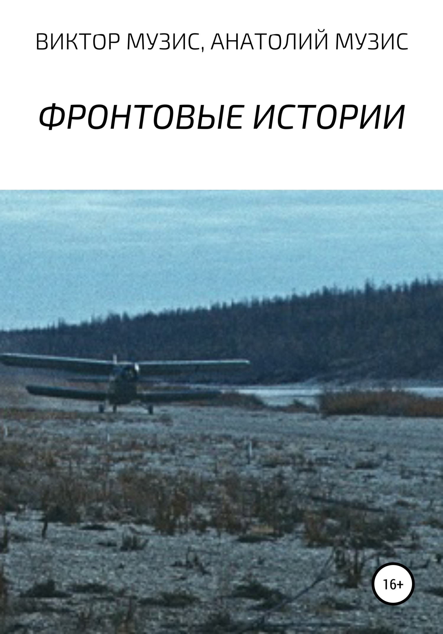 читать Фронтовые истории