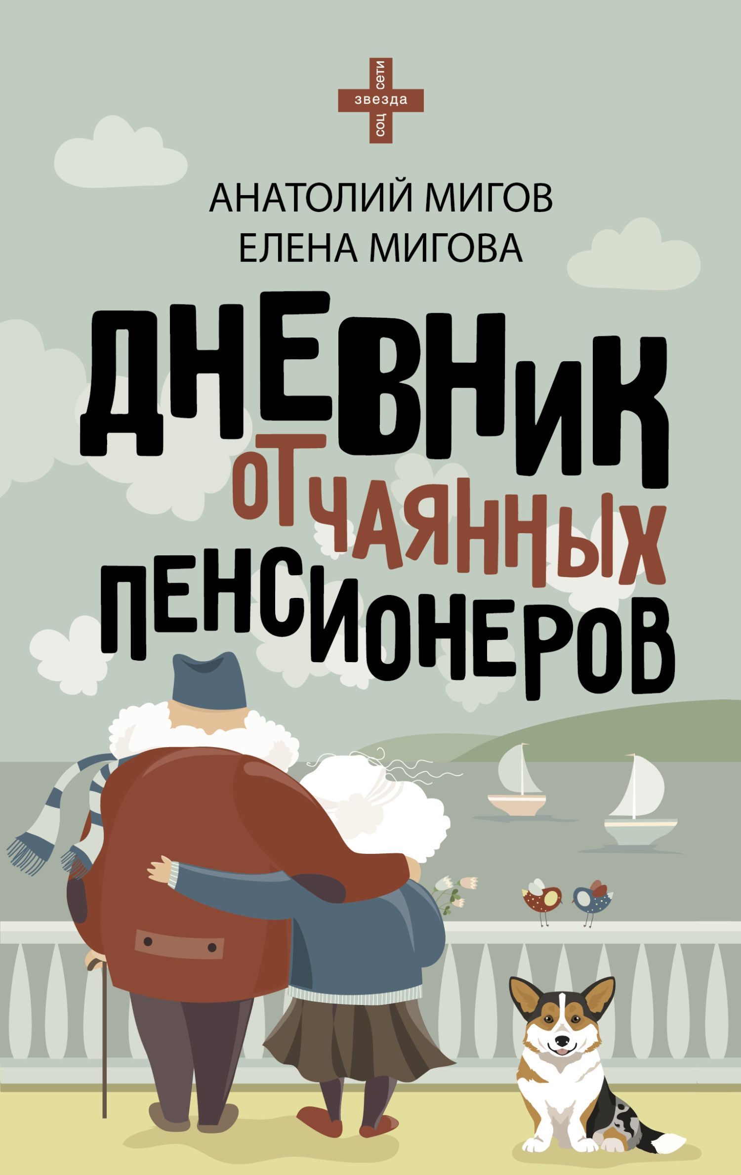 читать Дневник отчаянных пенсионеров