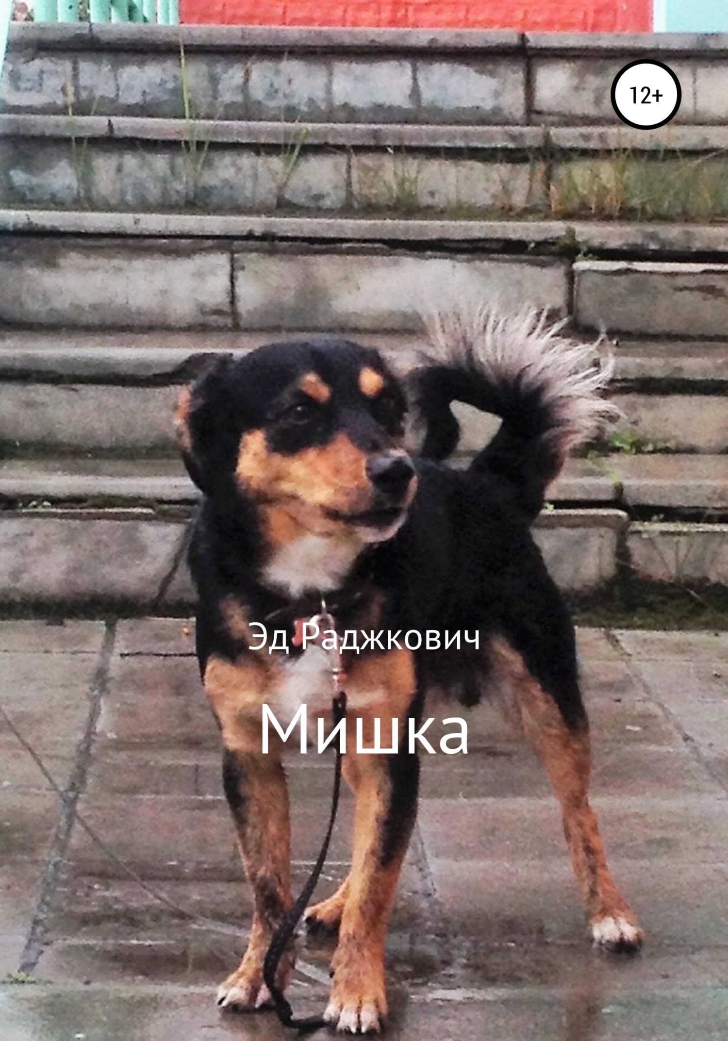 читать Мишка
