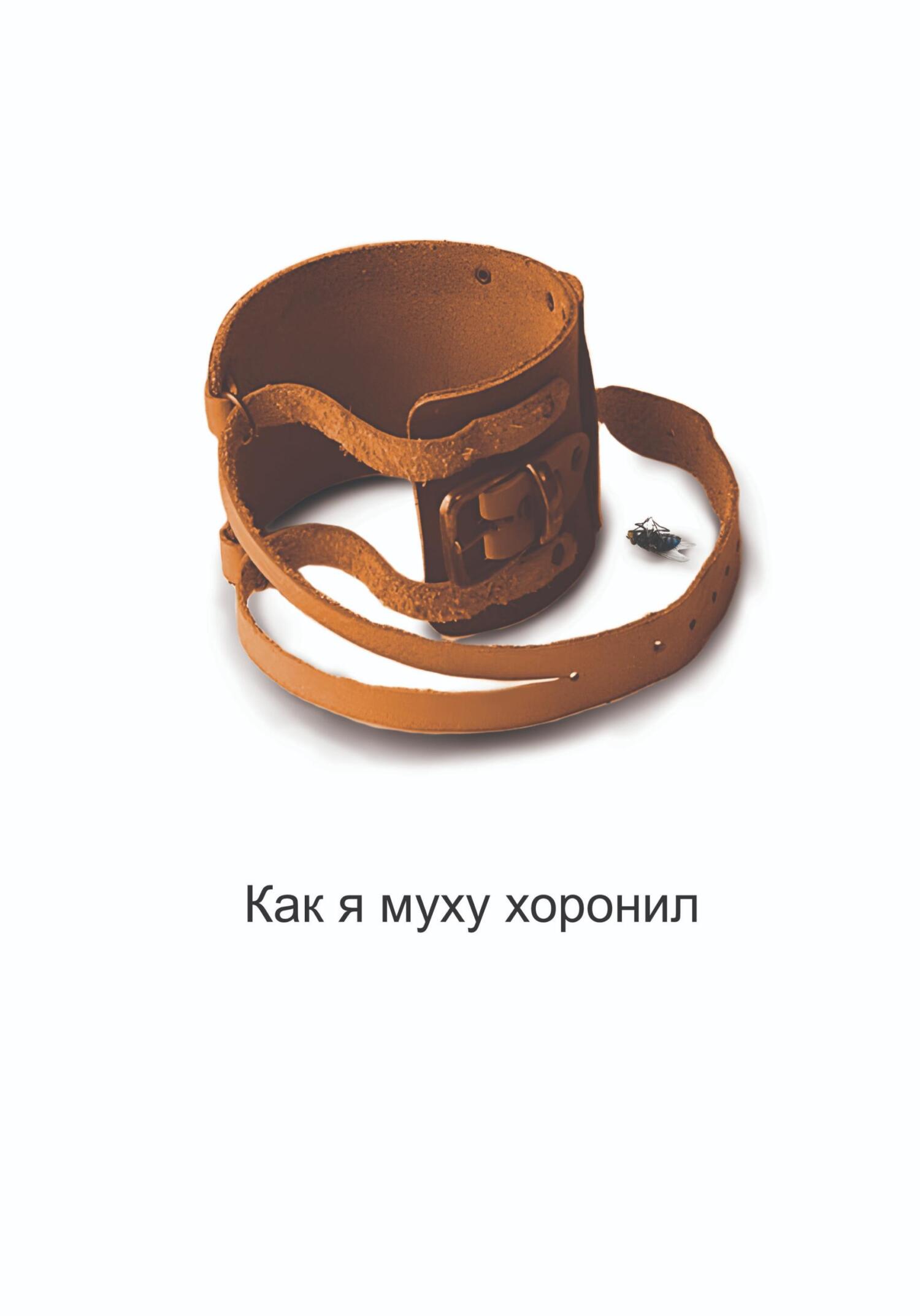 читать Как я муху хоронил