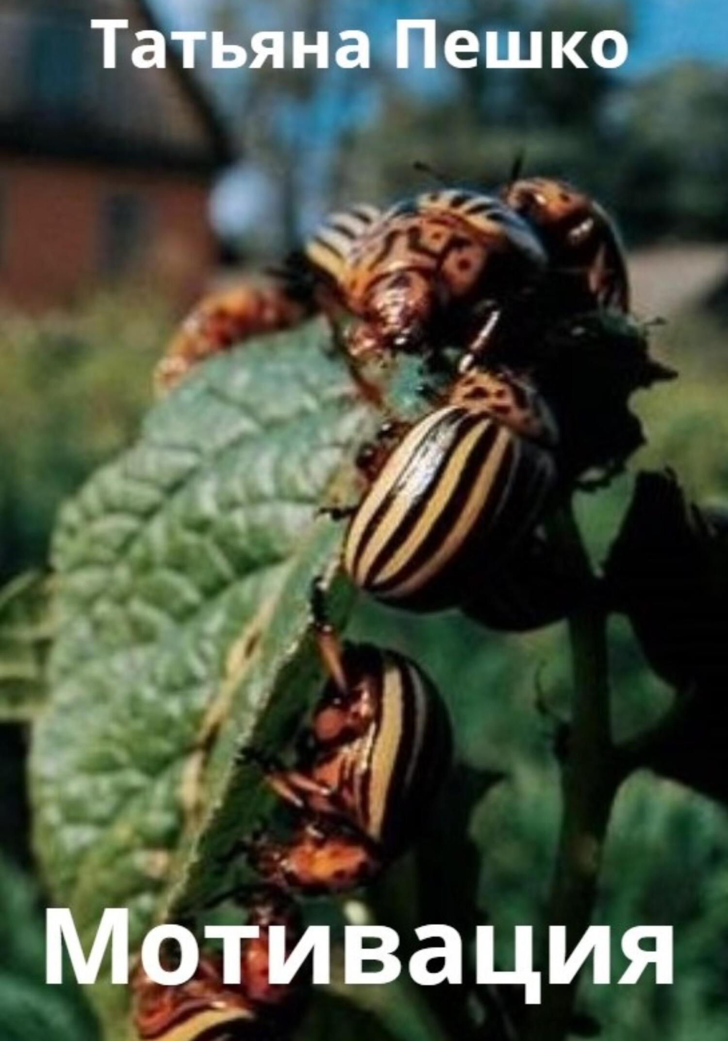 читать Мотивация