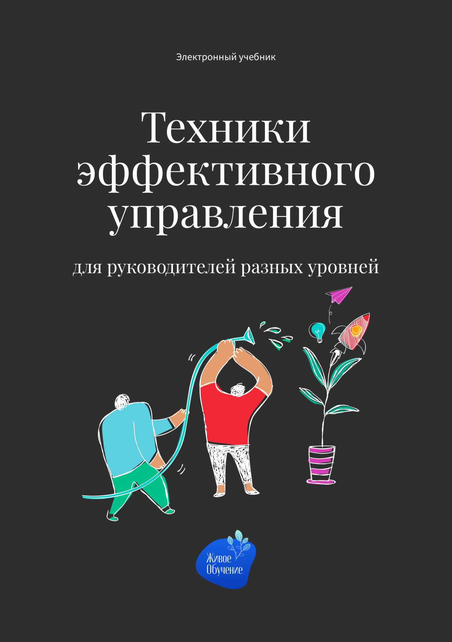читать Техники эффективного управления для руководителей разных уровней