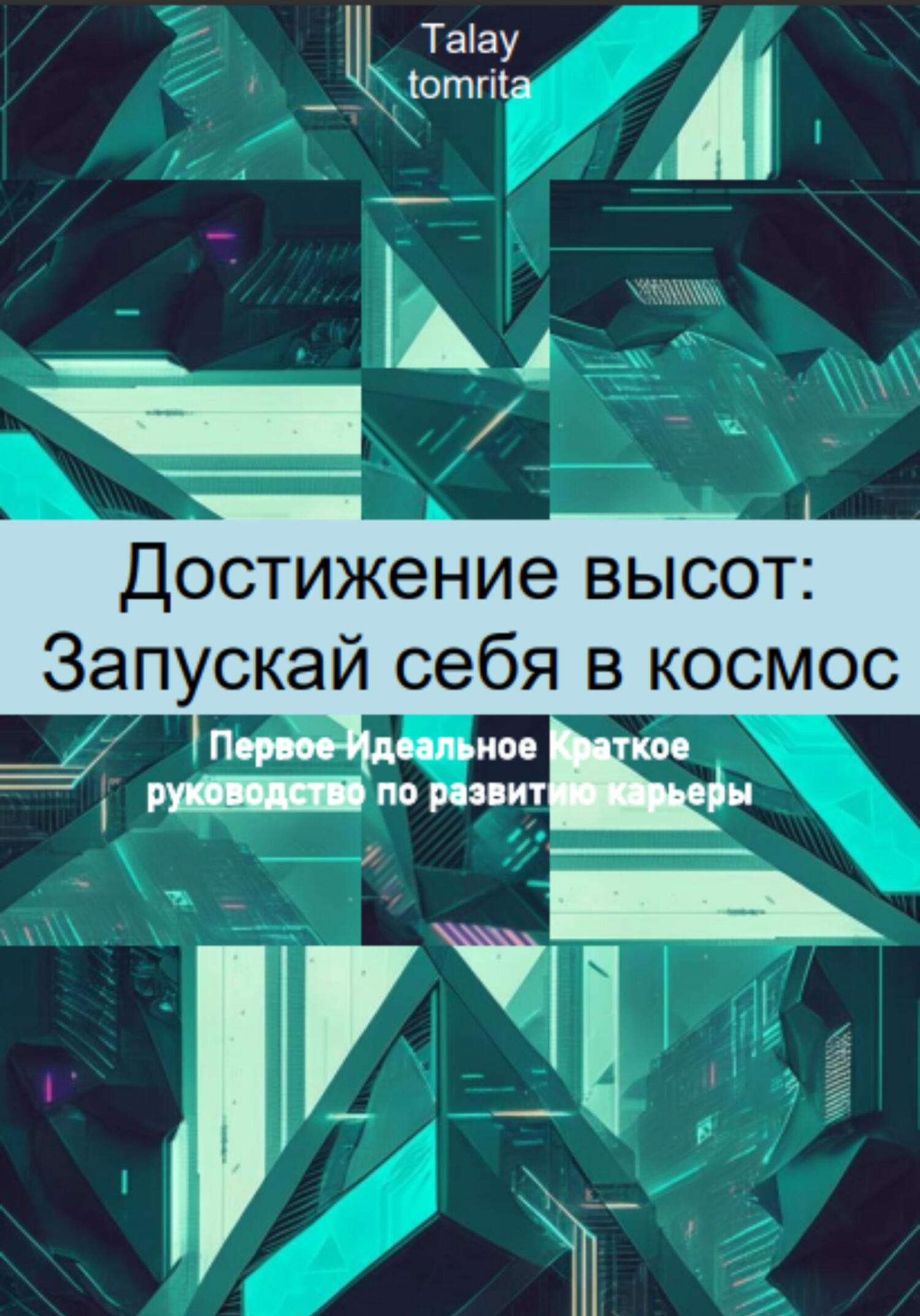 читать Достижение высот: Запускай себя в космос