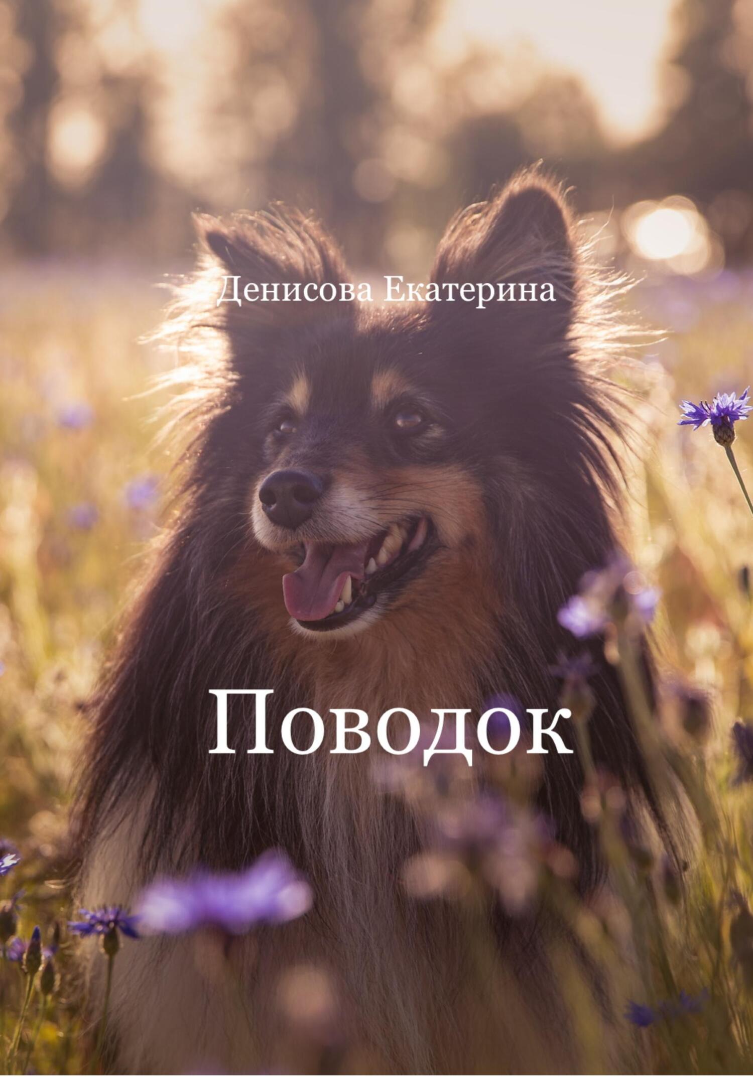 читать Поводок