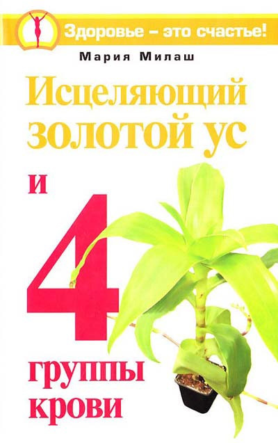 читать Исцеляющий Золотой ус и 4 группы крови