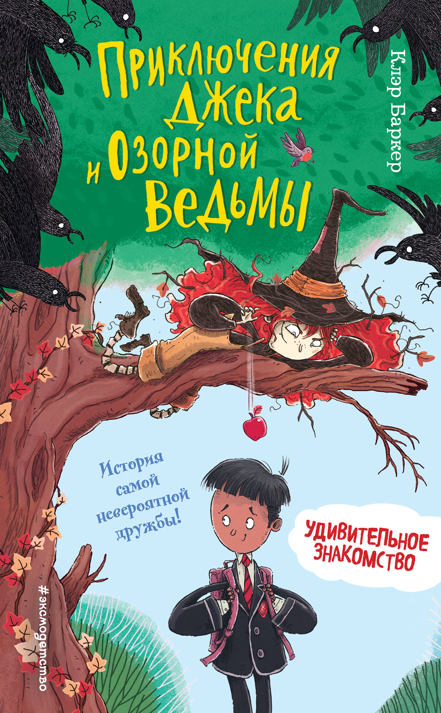 читать Удивительное знакомство