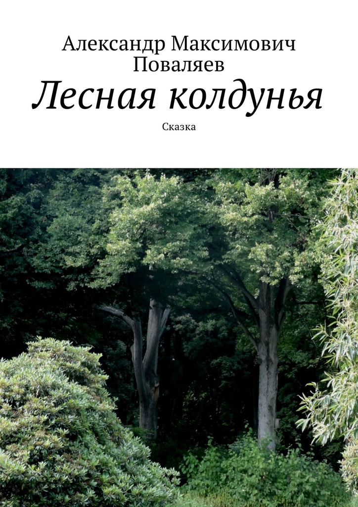 читать Лесная колдунья. Сказка