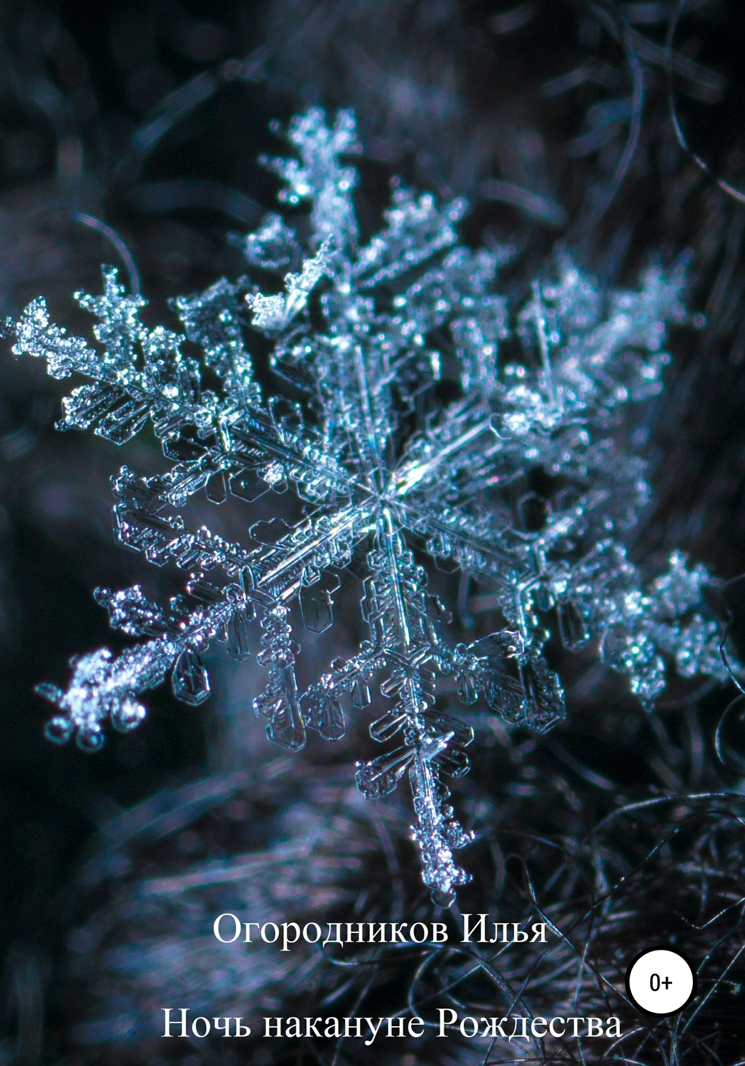 читать Ночь накануне Рождества
