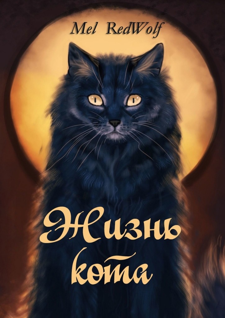 читать Жизнь кота