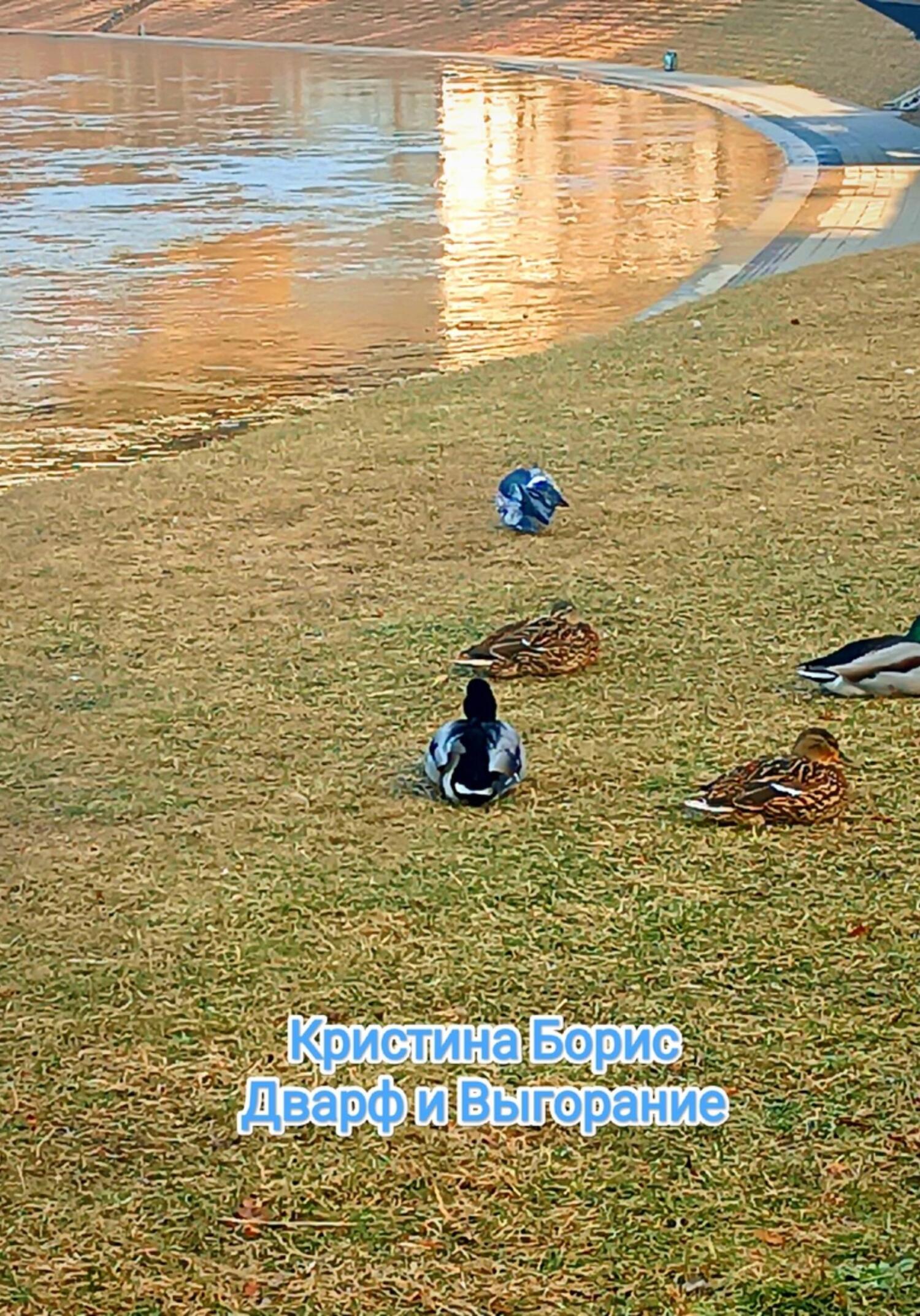 читать Дварф и выгорание