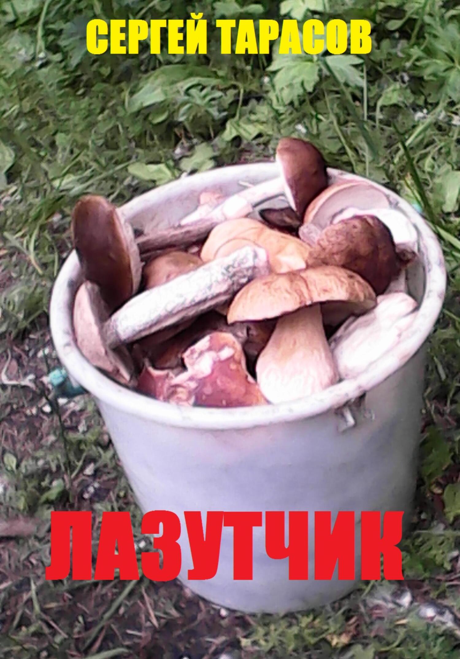 читать Лазутчик