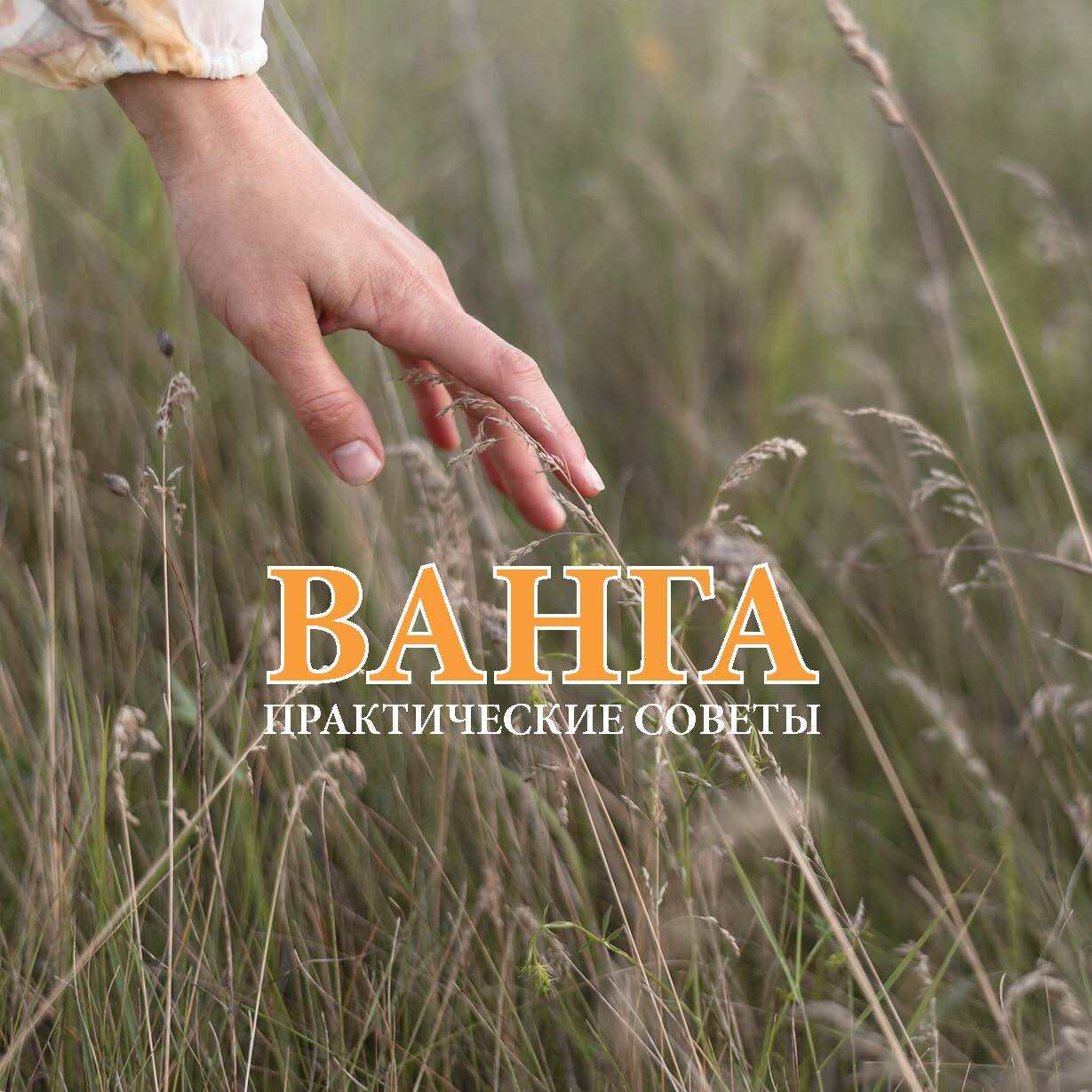 читать Ванга. Практические советы