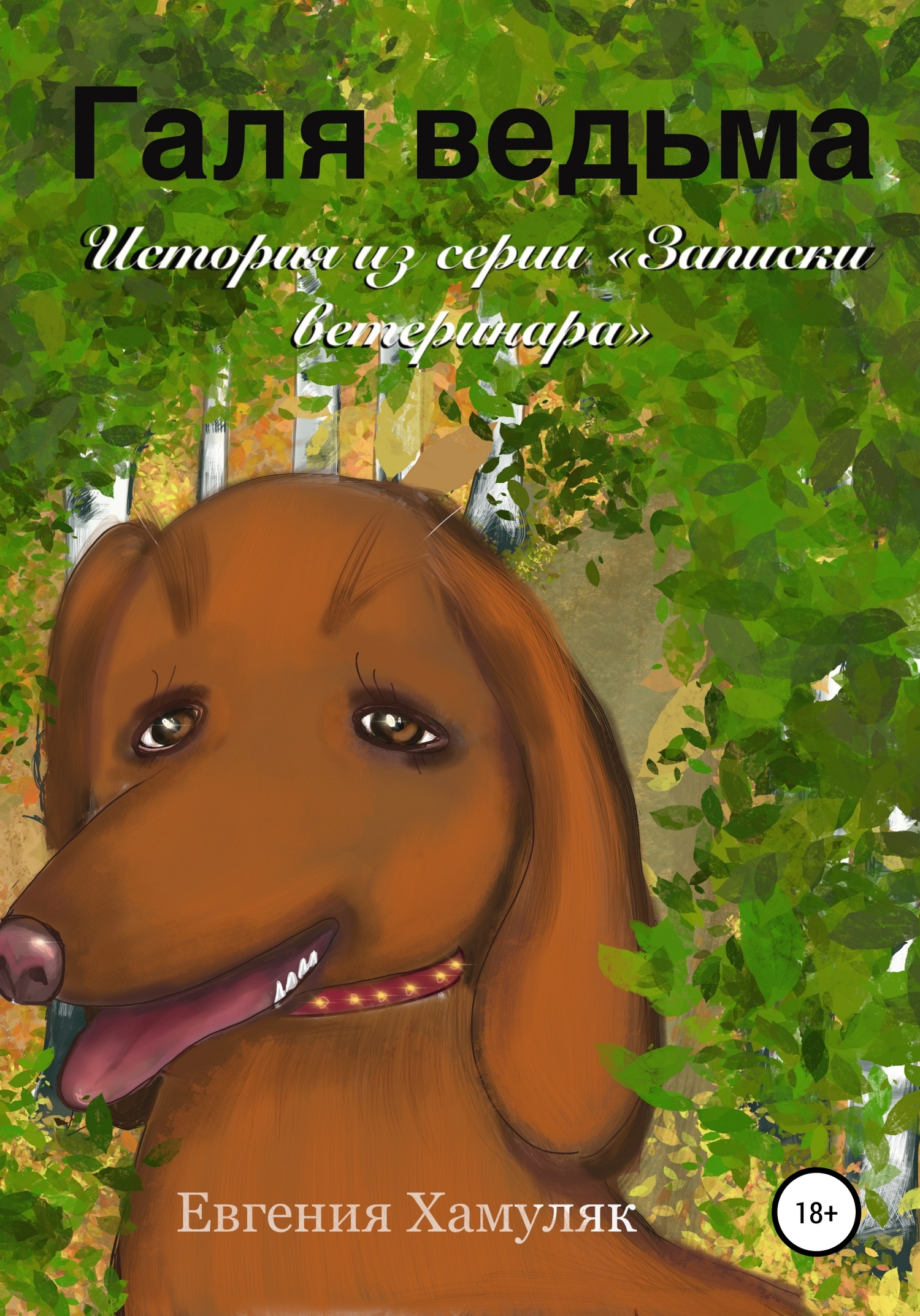 читать Галя ведьма